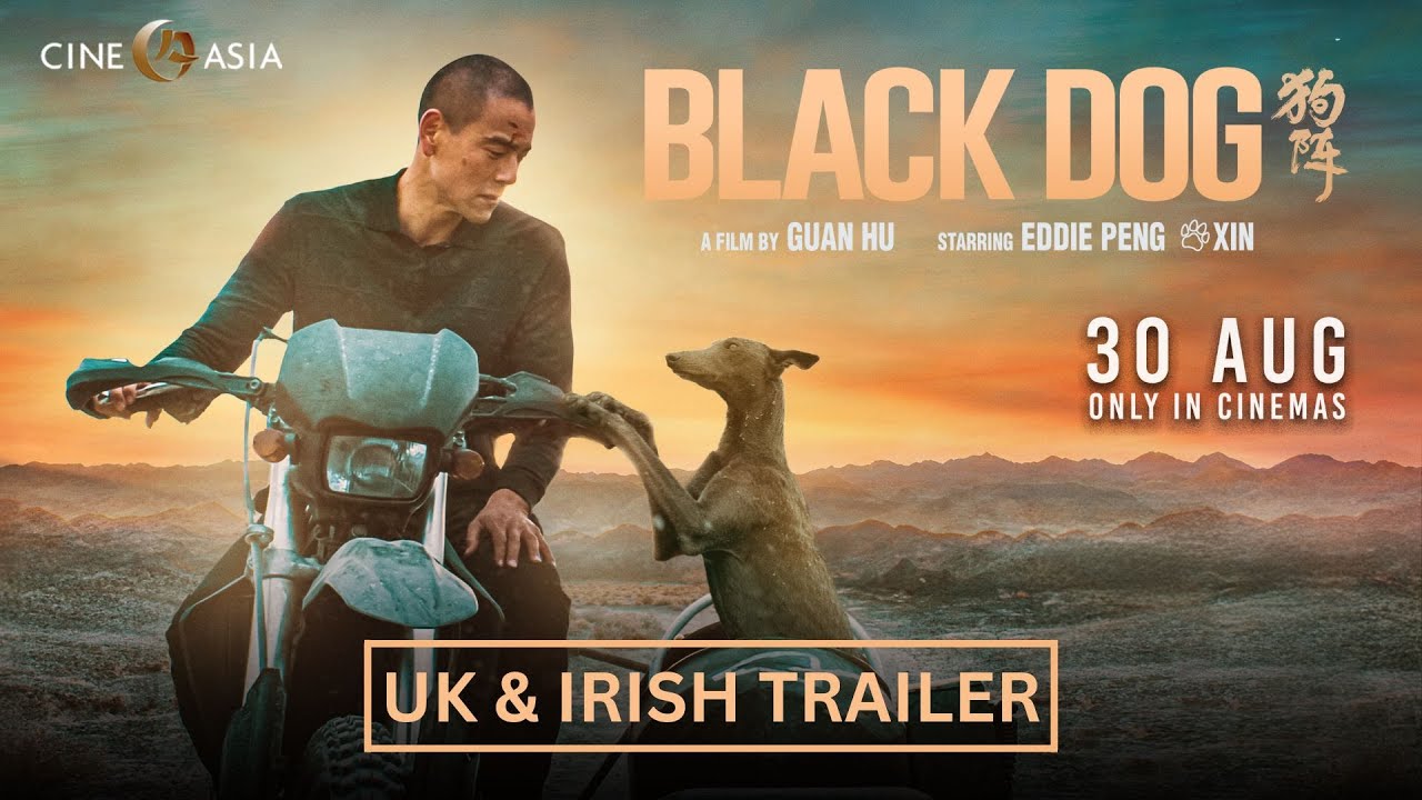 Black Dog Trailer
